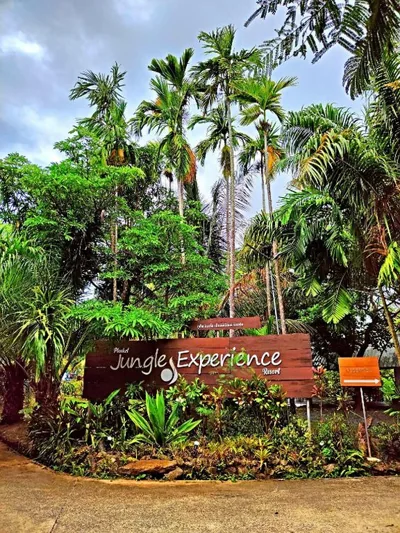 Phuket Jungle Experience Resort – Photos 3
